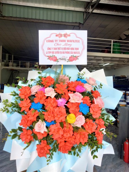 Chi nhánh Hải Phòng